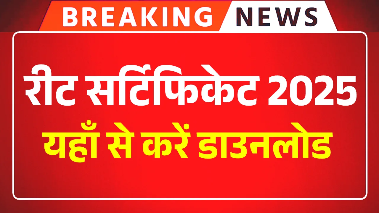 REET Certificate Download Link